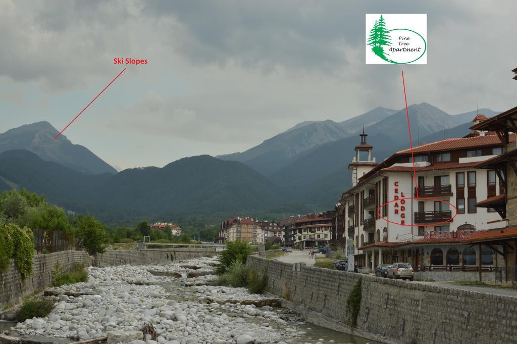 Pine Tree Apartment D34 Bansko Exterior foto